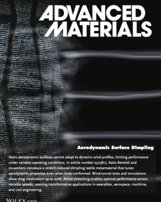 Advanced Materials - 2025 - Farrell - Programmable Surface Dimpling of Textile Metamaterials for Aerodynamic Control Adv
