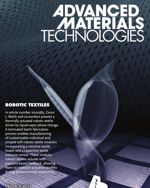 2000383_frontispiece.jpg